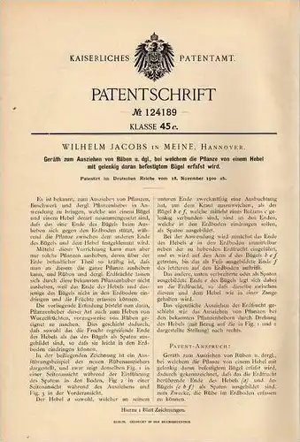 Original Patentschrift - W. Jacobs in Meine , Hannover , 1900 , Gerät zum Ziehen von Rüben , Landwirtschaft !!!