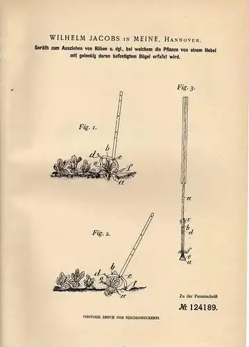 Original Patentschrift - W. Jacobs in Meine , Hannover , 1900 , Gerät zum Ziehen von Rüben , Landwirtschaft !!!