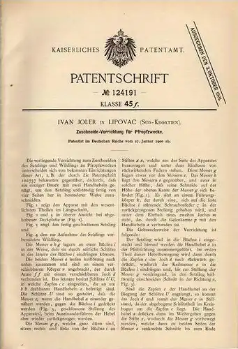 Original Patentschrift - I. Joler in Lipovac , Kroatien , 1900 , Zuschneidemaschine für Setzlinge !!!
