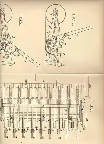 Original Patentschrift - G. Gutsche in Groß Krausche b. Gnadenberg , Bez. Liegnitz , 1906 , Egge für Landwirtschaft !!!