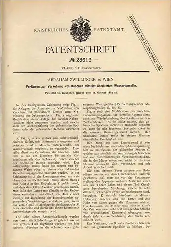 Original Patentschrift - Verkohlung von Knochen , Verbrennungsanlage , 1883 , A. Zwillinger in Wien !!!