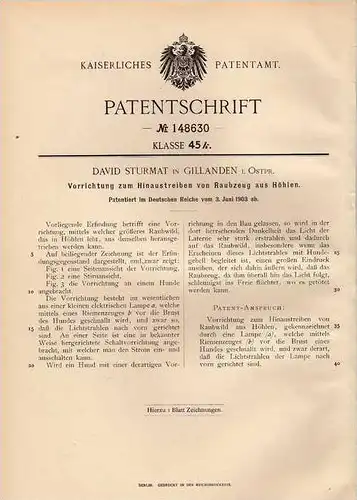 Original Patentschrift - D. Sturmat in Gillanden , 1903 , Vertreiben von Wild aus Höhlen , Jagd , Jäger !!!