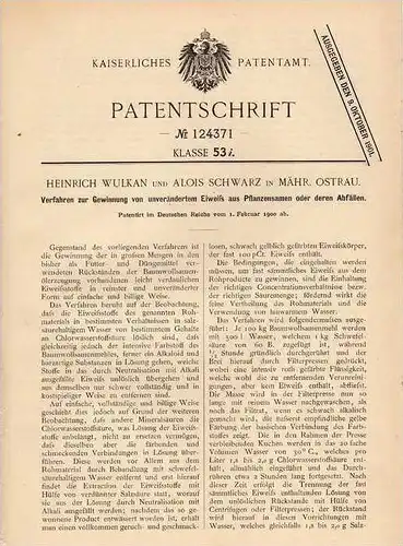 Original Patentschrift - H. Wulkan in Mähr. Ostrau , 1900 , Eiweiß aus Pflanzensamen !!!