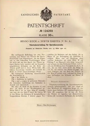 Original Patentschrift - B. Koch in North Dakota , USA , 1901 , Hebeapparat für Tiere zur Operation , Tierarzt  !!!