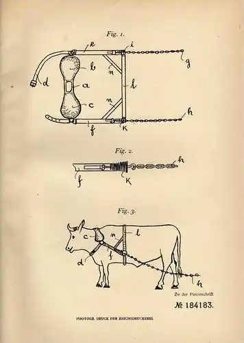 Original Patentschrift - F. Seeliger in Dominium Eberhardslust , Posen , 1906 , Nackenjoch für Zugtiere , Landwirtschaft
