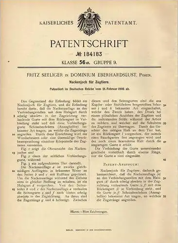 Original Patentschrift - F. Seeliger in Dominium Eberhardslust , Posen , 1906 , Nackenjoch für Zugtiere , Landwirtschaft