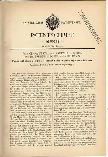 Original Patentschrift - Dr. Brumme in Löbejün b. Halle , 1894 , Pumpe für dicke Flüssigkeiten , Zucker !!!