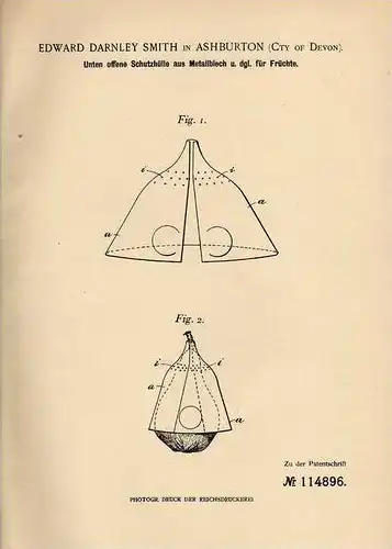 Original Patentschrift - E. Smith in Ashburton , 1899 , Schutz für Früchte , Frucht , Obst , Obstbau !!!