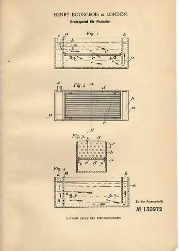 Original Patentschrift - Brutapparat für Fischeier , 1901 , H. Bourgeois in London , Fisch , Kaviar , Fische !!!