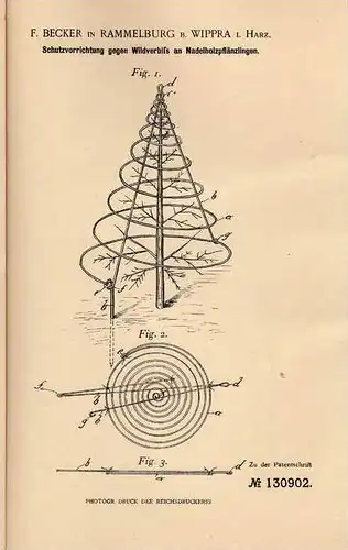 Original Patentschrift - F. Becker in Rammelburg b. Wippra , 1901 , Schutz für Plänzlinge , Forst , Förster , Baumschule