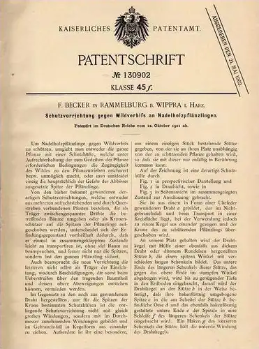 Original Patentschrift - F. Becker in Rammelburg b. Wippra , 1901 , Schutz für Plänzlinge , Forst , Förster , Baumschule