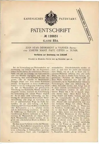 Original Patentschrift - J.P. Geyer à Vanves , Seine et Tunis , 1900, La production de pâte , Zellstoff !!!