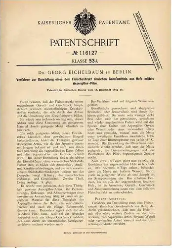 Original Patentschrift - Fleischersatz aus Pilzen , 1899,  Dr. G. Eichelbaum in Berlin , Ernährung , Lebensmittel !!!