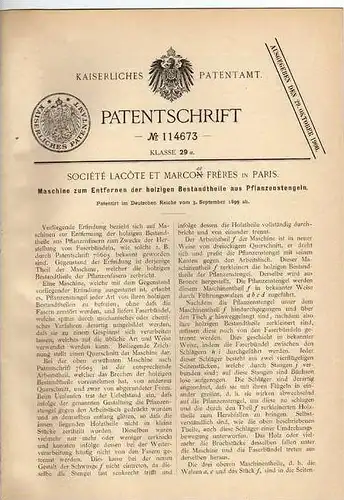 Original Patentschrift - Stengelmaschine , Pflanzen , Gärtnerei , 1899, M. Freres in Paris  !!!
