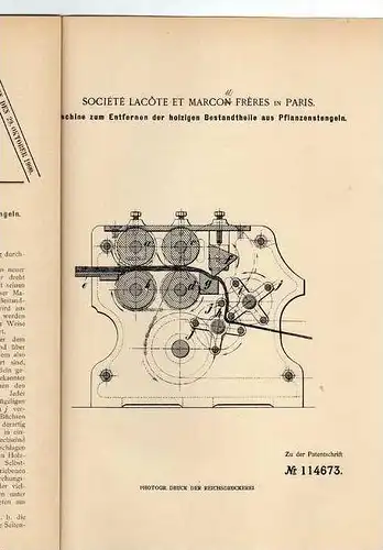 Original Patentschrift - Stengelmaschine , Pflanzen , Gärtnerei , 1899, M. Freres in Paris  !!!