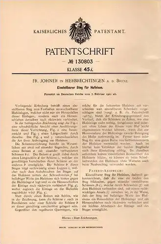 Original Patentschrift - Fr. Johner in Herbrechtingen a. Brenz b. Heidenheim ,1901,Einstellbarer Hufeisen - Steg , Pferd