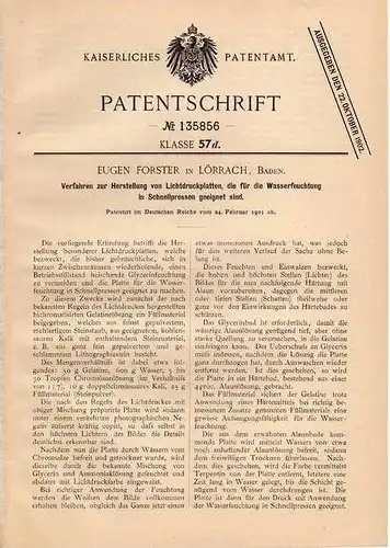 Original Patentschrift - E. Forster in Lörrach , Baden , 1901 , Herstellung von Lichtdruckplatten , Lithographie  !!!