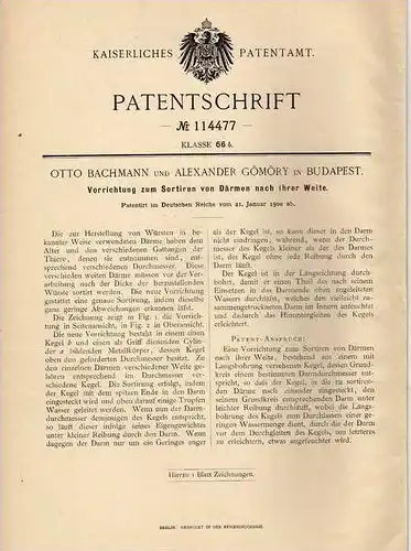 Original Patentschrift - A. Gömöry in Budapest , 1900, Sortierung von Darm , Fleischerei , Fleischer !!!