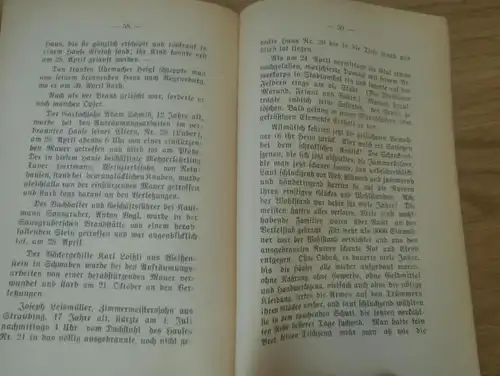 Die Schreckenstage von Stadtamhof im April 1809 , Steinweg u. Reinhausen , 1909 ,  Lokalgeschichte , Regensburg !!!