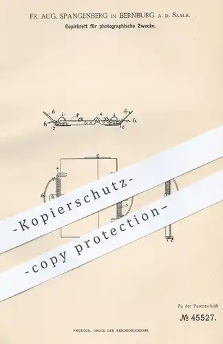 original Patent - Fr. Aug. Spangenberg , Bernburg / Saale , 1888 , Kopierbrett für Photographie | Fotograf , Fotografie