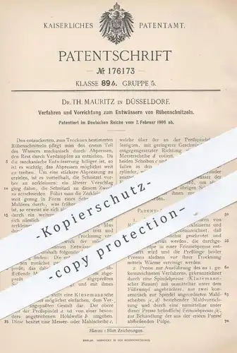 original Patent - Dr. Th. Mauritz , Düsseldorf , 1906 , Entwässern der Rübenschnitzel | Rüben , Zucker , Zuckerfabrik !