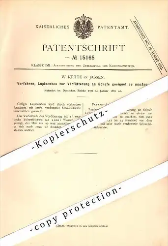 Original Patent - W. Kette in Jassen / Jasien b. Schwarz Damerkow / Czarna Dabrówka , 1881 , Lupinenheu für Schafe !!!