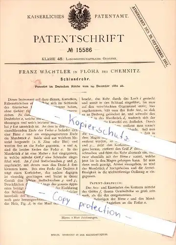 Original Patent - Franz Wächtler in Flöha bei Chemnitz , 1880 ,  Schlundrohr !!!