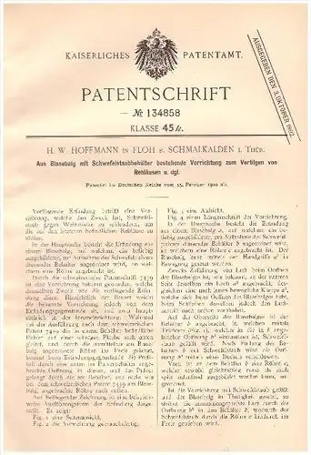 original Patent - H.W. Hoffmann in Floh b. Schmalkalden i. Thüringen , 1902 , Schwefelbehälter gegen Reblaus , Rebläuse