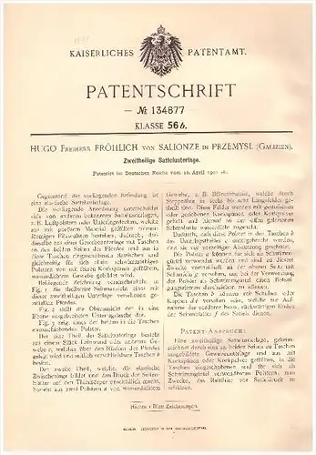 original Patent - Hugo Freiherr Fröhlich von Salionze in Przemysl , 1901 , Sattel - Unterlage , Pferde , Pferd !!!