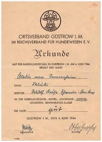 Urkunde Güstrow 1944 , Saluki - Windhund , Aladin von Sonnenheim , Rasse - Hundeschau , Hunde , Windhunde , Mecklenburg