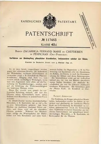 Original Patentschrift - Baron de Chefdebien in Perpignan ,1899, Vin, vigne, vignoble , Wein , Weinbau !!!