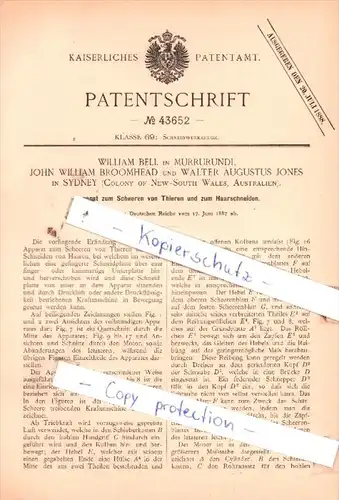 Original Patent  - W. Bell in Murrurundi, J. William Broomhead und W. Jones in Sydney ,1887 , !!!