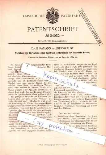 Original Patent  -  Dr. E. Ramann in Eberswalde , 1884 , Eisenerzeugung !!!