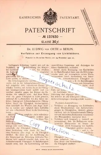 Original Patent  - Dr. Ludwig von Orth in Berlin , 1901 , Erzeugung von Lichtbädern !!!
