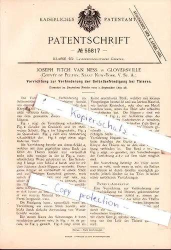 Original Patent  - Joseph Fitch Van Ness in Glovesville , 1890 , Landwirthschaftliche Geräthe !!!
