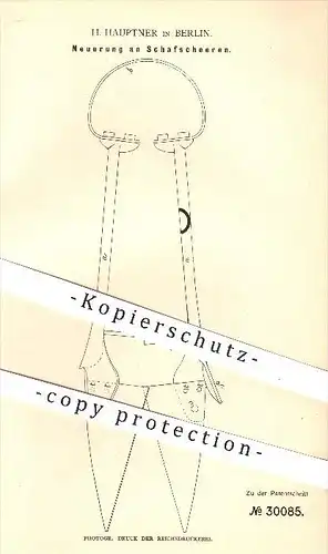 original Patent - H. Hauptner in Berlin , 1884 , Schaf - Schere ,  Scheren , Schneidwerkzeuge , Werkzeug , Schneiden !