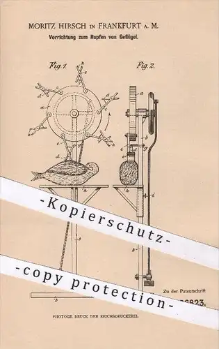 original Patent - Moritz Hirsch in Frankfurt am Main , 1901 , Rupfen von Geflügel , Federn , Geflügelfedern , Hühner !!