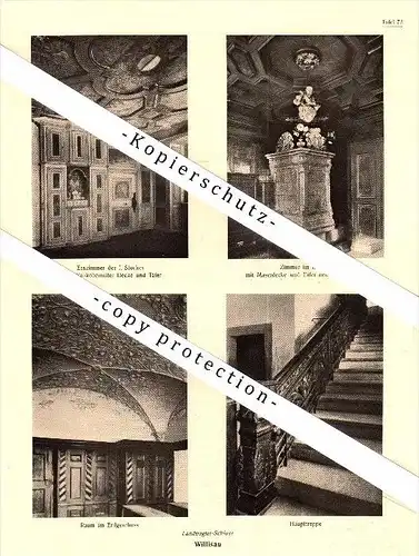Photographien / Ansichten , 1920 , Buttisholz , Willisau , Prospekt , Architektur , Fotos !!!