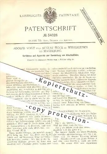 original Patent - Adolph Vogt & August Figge , Westerhusen , Magdeburg , 1884 , Darstellung von Alkalisulfaten , Alkali