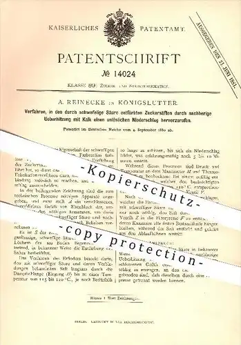 original Patent - A. Reinecke , Königslutter , 1880 , Unlöslicher Niederschlag durch Überhitzung von Zuckersaft , Zucker
