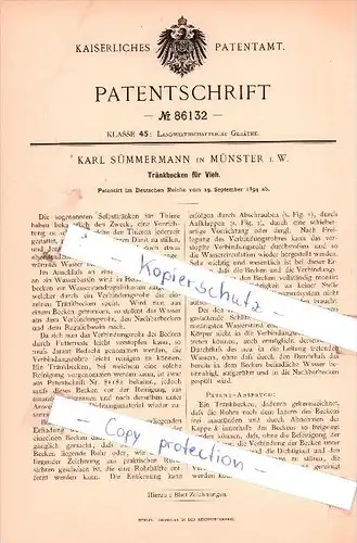 Original Patent - Karl Sündermann in Münster i. W. , 1894 , Tränkbecken für Vieh !!!