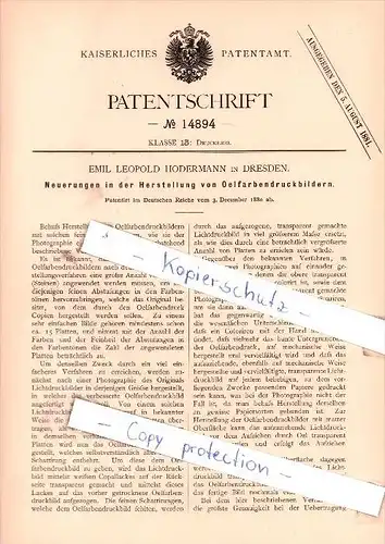 Original Patent - Emil Leopold Hodermann in Dresden , 1880 , Oelfarbendruckbilder !!!