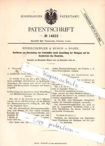 Original Patent - Bindschedler & Busch in Basel , 1880 , Verfahren zur Herstellung von Farbstoffen !!!