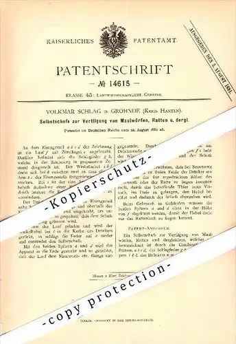 Original Patent - Volkmar Schlag in Grohnde / Emmerthal , Kreis Hameln , 1880 , Schußgerät für Maulwurf und Ratten !!!