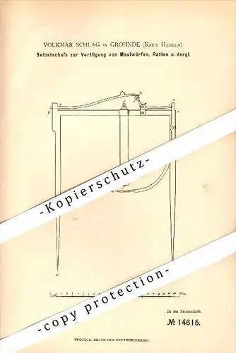 Original Patent - Volkmar Schlag in Grohnde / Emmerthal , Kreis Hameln , 1880 , Schußgerät für Maulwurf und Ratten !!!