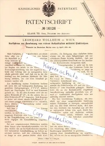 Original Patent - Leonhard Wollheim in Wien , 1881 , Gewinnung von Aetzalkalien !!!