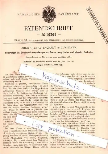 Original Patent -  Arno Gustav Pachaly in Cuxhaven , 1881 , Eisenbahntransportwagen !!!