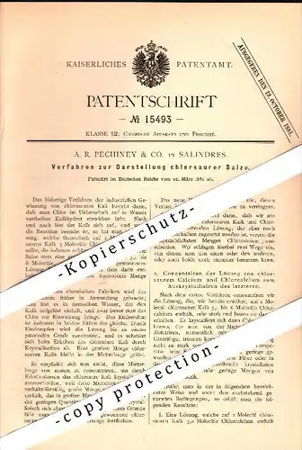 Original Patentschrift - A.R. Pechiney & Co à Salindres , Gard , 1881 , Représentation de la potasse !!!