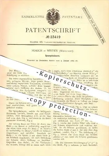 original Patent - Morich in Minden , 1883 , Spargelschere , Spargel , Landwirtschaft , Gartengeräte , Schere !!!