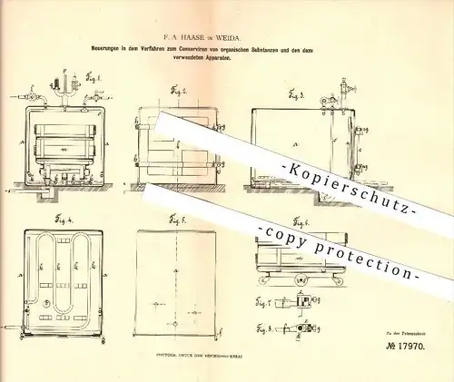 original Patent - F. A. Haase in Weida , 1881 , Konservierung von organischen Substanzen , Nahrungsmittel !!!